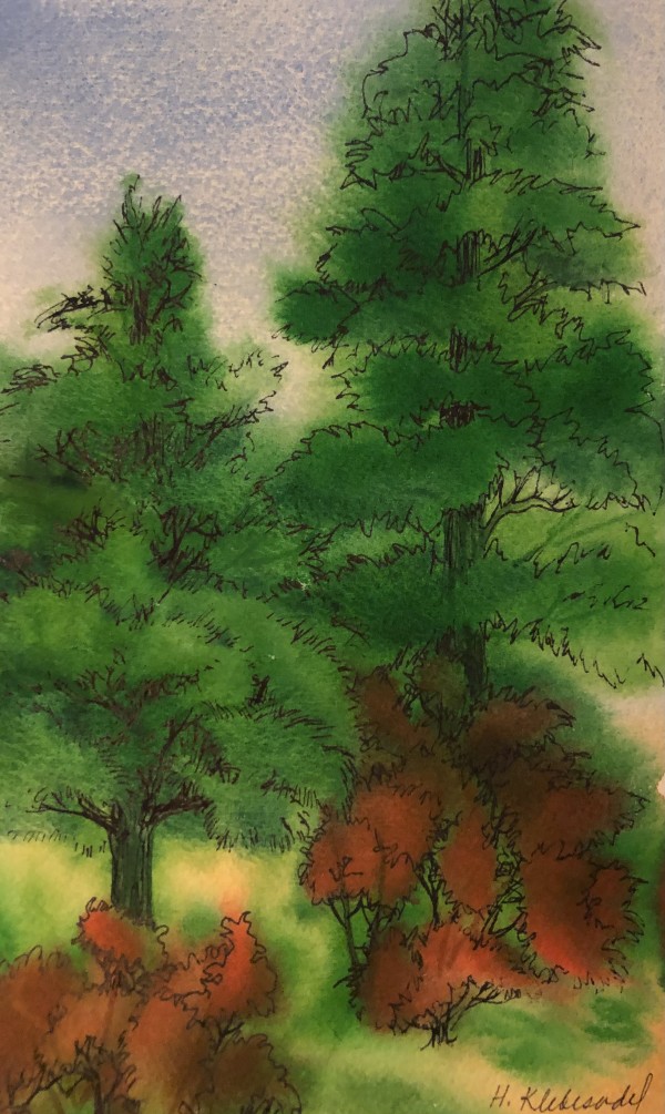 Pine Study I by Helen R Klebesadel
