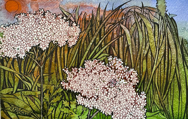 Two Queen Annes- Drawing a Day #301 by Helen R Klebesadel
