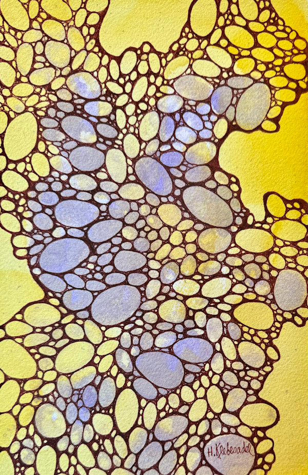 Path of Plenty - Drawing a Day #319 by Helen R Klebesadel