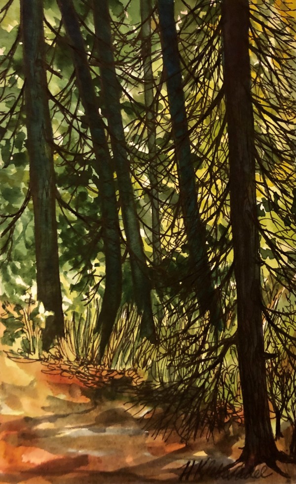 Cedar Path - Drawing A Day #58 by Helen R Klebesadel