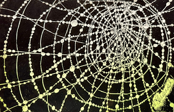 Arachne's Web-Drawing a Day #345 by Helen R Klebesadel