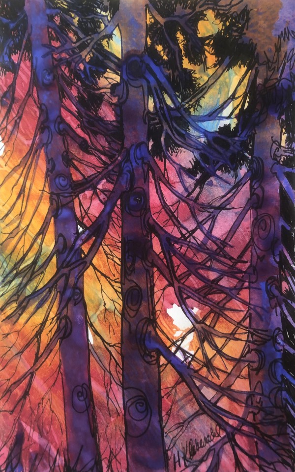 Cedars in Light -Drawing a Day #134 by Helen R Klebesadel