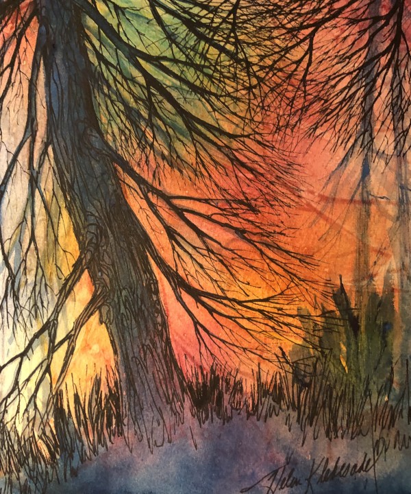 Cedar - Drawing a Day #152 by Helen R Klebesadel