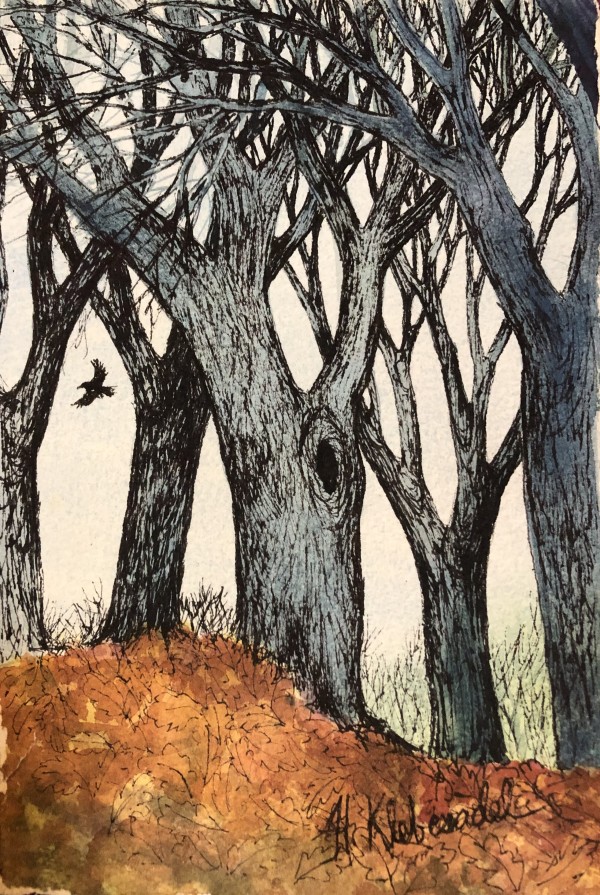 Oak Grove II - Drawing a Day #154 by Helen R Klebesadel