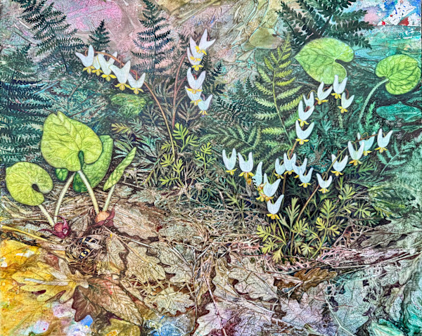 Greeting Card:  Dutchman's Breeches and Wild Ginger I by Helen R Klebesadel
