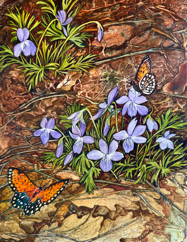 Greeting Card -Prairie Violet and Frilitary by Helen R Klebesadel