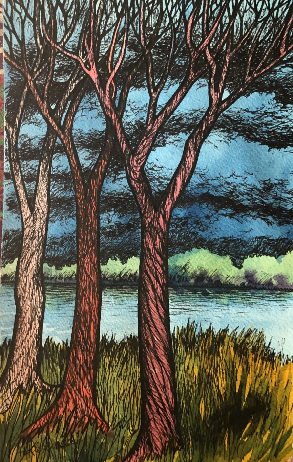 Storm's a Brewing - Drawing a day #196 by Helen R Klebesadel