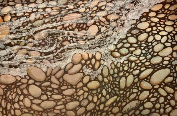 Lake Pebbles II- Drawing a Day #203 by Helen R Klebesadel