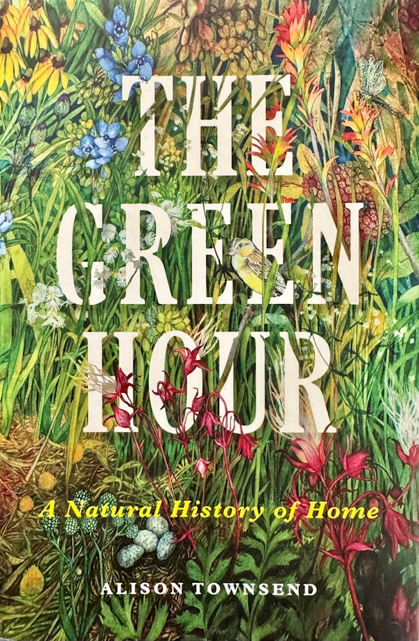 Prairie IV on the cover of  the book The Green Hour:  A Natural History of Home  by Alison Townsend by Helen R Klebesadel
