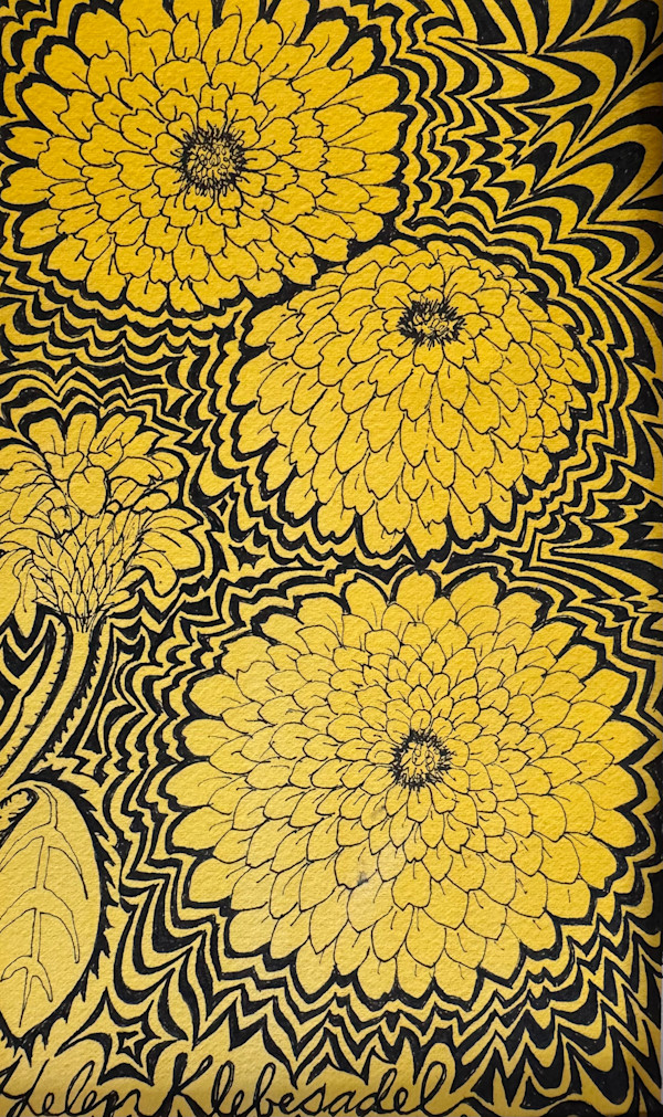 Yellow Zinnias by Helen R Klebesadel, Image 1.