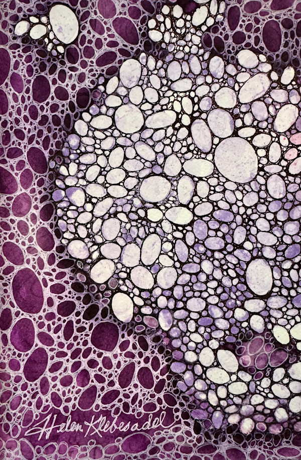 Purple Pebbles- Drawing for Good by Helen R Klebesadel, Image 1.