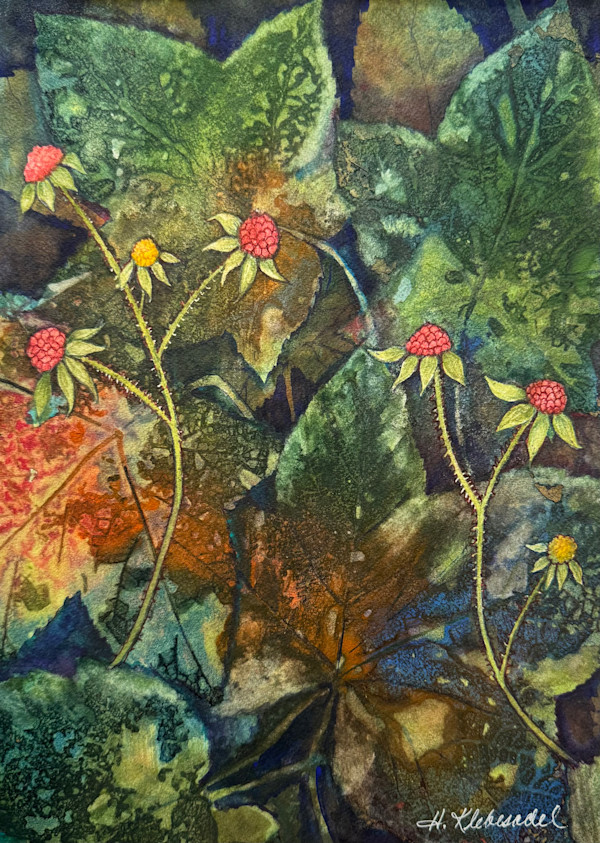 Thimble Berries an original watercolor by Helen R Klebesadel, Image 1.