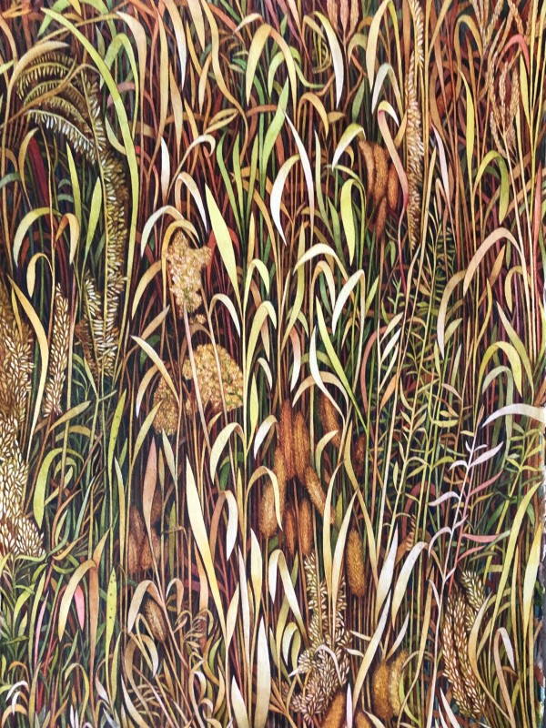 Autumn Prairie Grasses I an original watercolor by Helen R Klebesadel