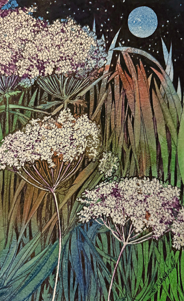 Queen Annes' Blue Moon- Drawing a Day #288 by Helen R Klebesadel