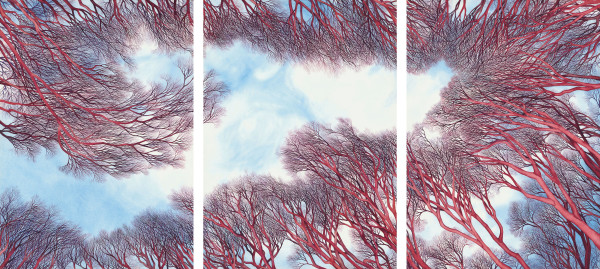 Sacred Grove Triptych a limited edition gicleé print of an original watercolor by Helen R Klebesadel