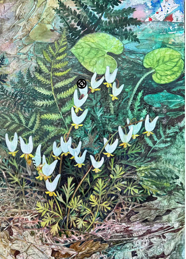 Greeting Card:  Dutchman's Breeches (details) by Helen R Klebesadel