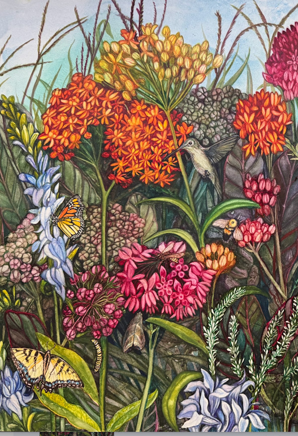 Greeting Cards - Milkweed Prairie (details) by Helen R Klebesadel