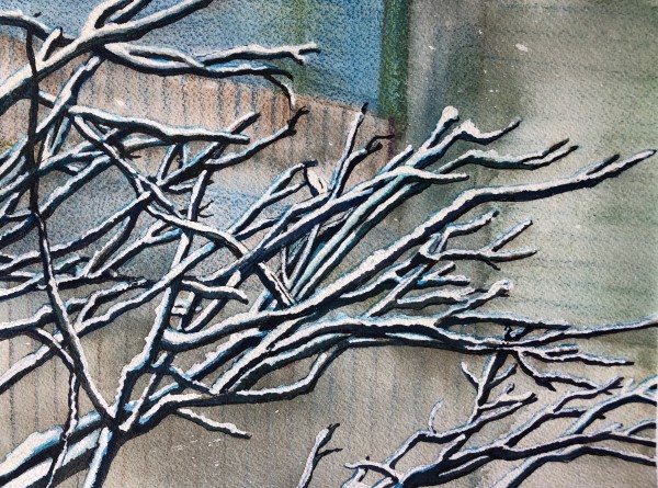 Snow on Branches II by Helen R Klebesadel