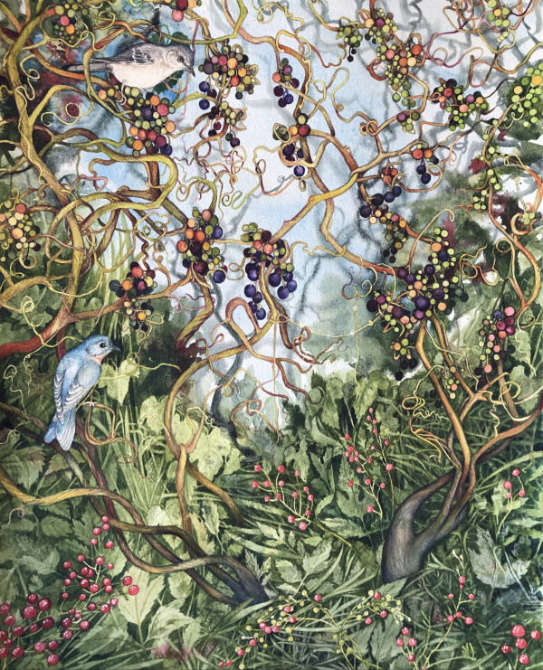 Wild Grapes, Baneberries, Bluebird and Mockingbird by Helen R Klebesadel