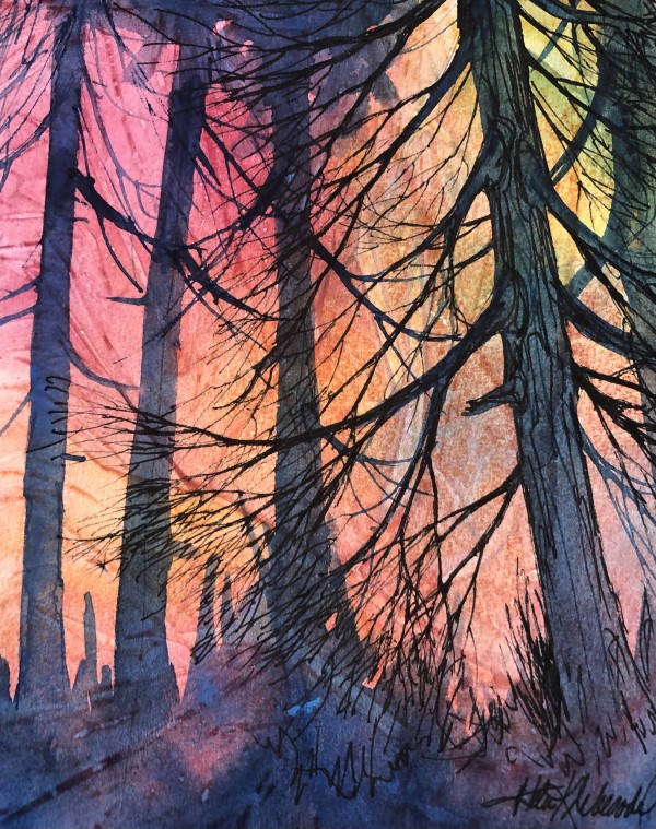 Cedar Grove - Drawing a Day #170 by Helen R Klebesadel