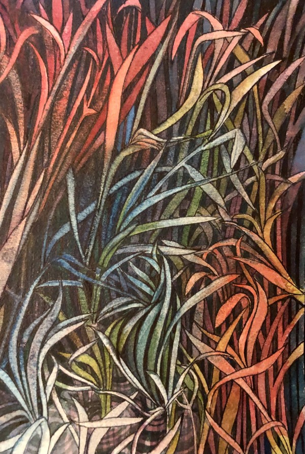 Grasses - Drawing a Day #29 by Helen R Klebesadel