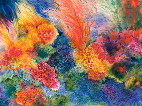 Oye Cómo Va Mi Ritmo (Listen to how my rhythm goes): Coral in Crises Series a collaborative watercolor with Mary Kay Neumann by Helen R Klebesadel