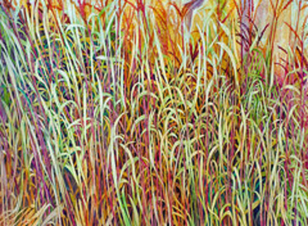 Prairie Grasses an original watercolor 17/100 by Helen R Klebesadel