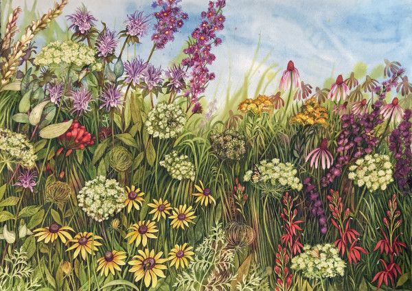 High Summer Prairie III a limited edition giclee of an original watercolor by Helen R Klebesadel