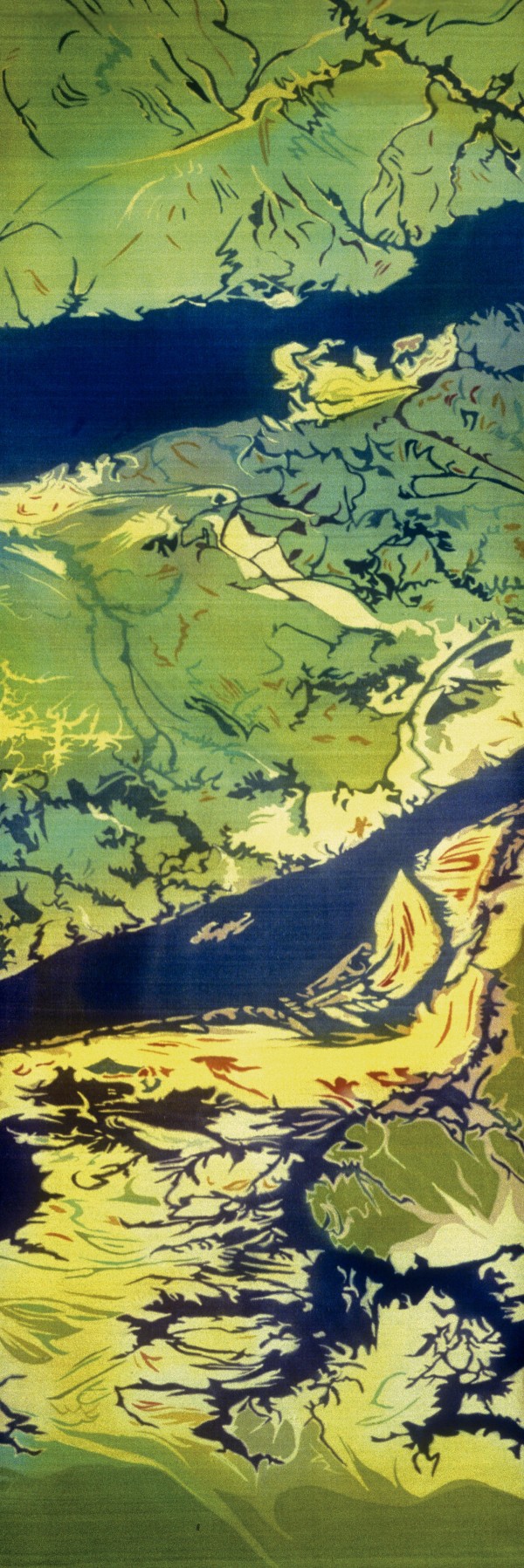 Amazon River (South America) by Mary Edna Fraser