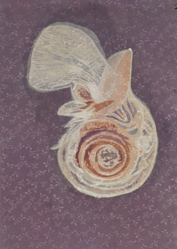 Pteropod (Limacina helicina), framed by Mary Edna Fraser