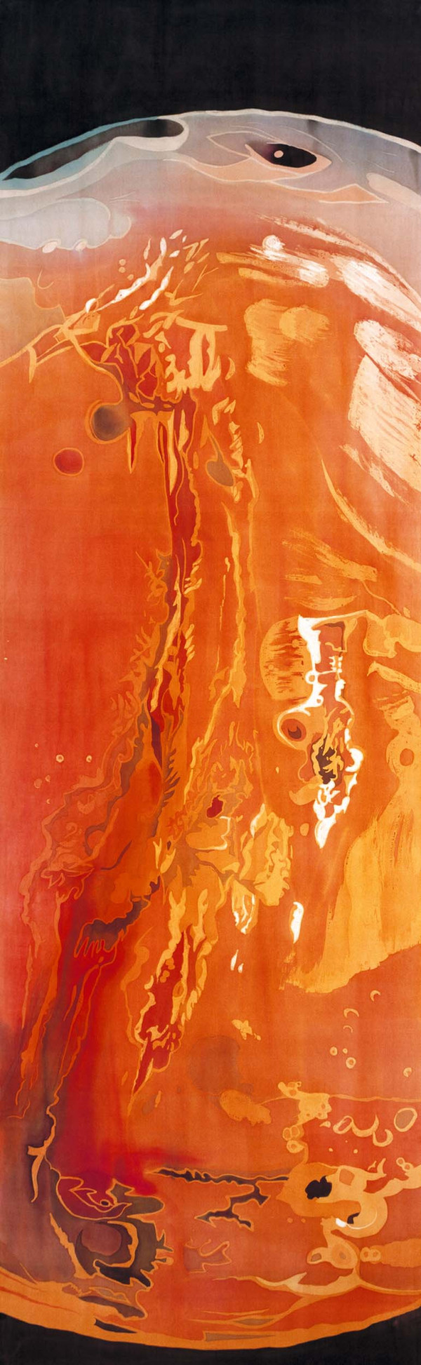 Slice of Mars by Mary Edna Fraser