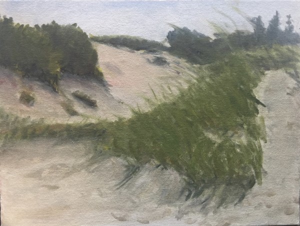 Petoskey State Park Dunes
