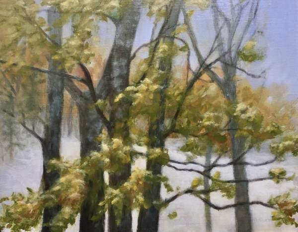Early Snow - Oak Trees by Heidi V Huck