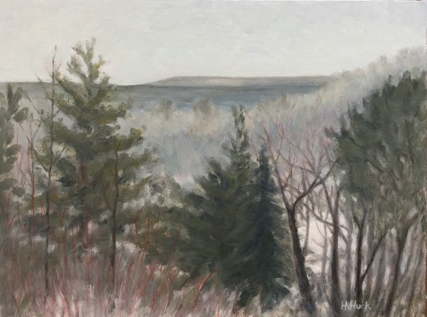 February Snow