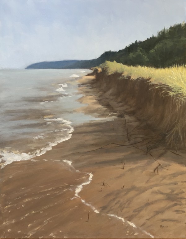 Shore Roots