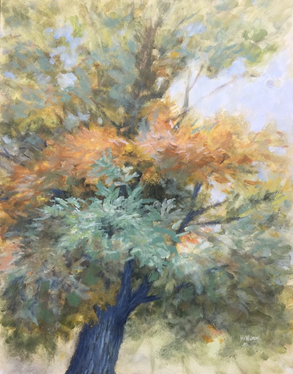 October Oak
