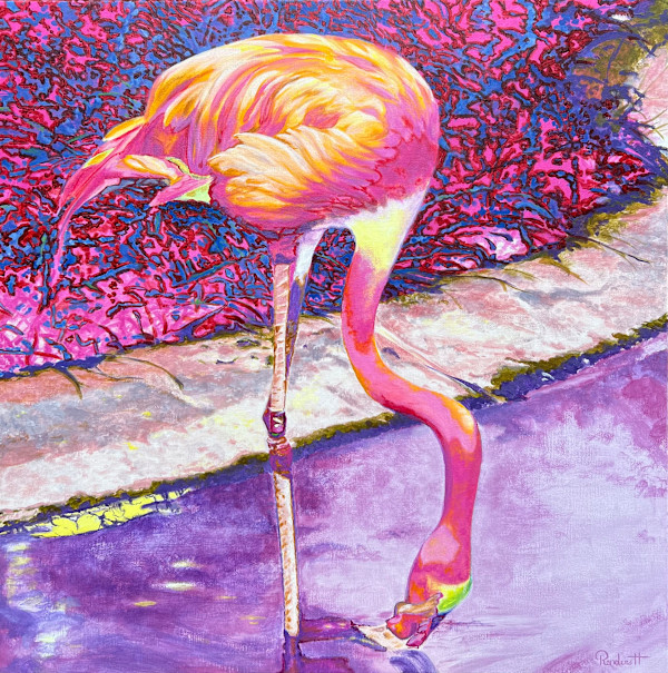 Flamingo by Helga Renders, Image 1.