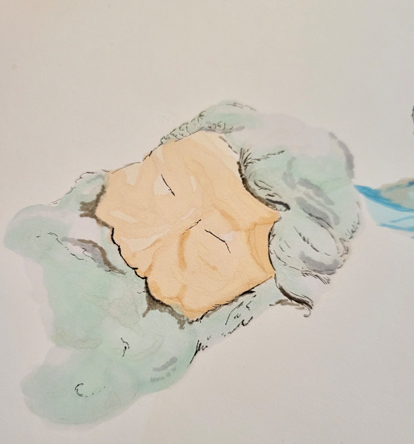 A study 3 by Stephanie Kuczma