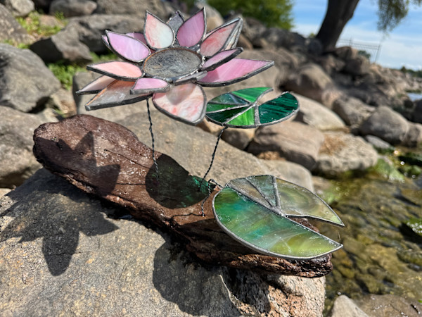 Lotus by Stephanie Kuczma