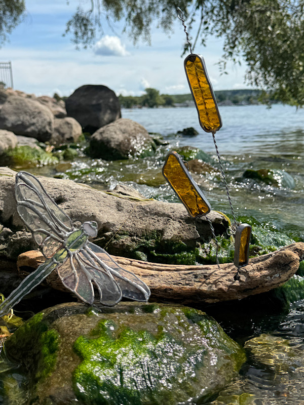 Dragon Fly by the lake by Stephanie Kuczma