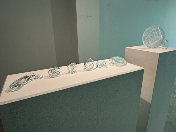 Flexous Culture by Stephanie Kuczma