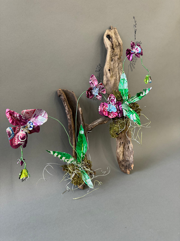 Everlasting nature by Stephanie Kuczma