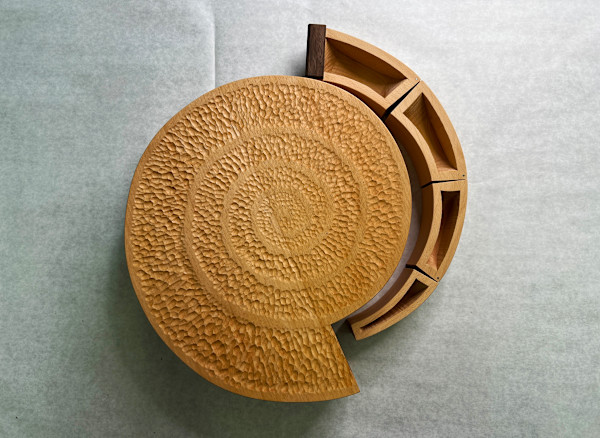 Nautilus Box by Evan Owens