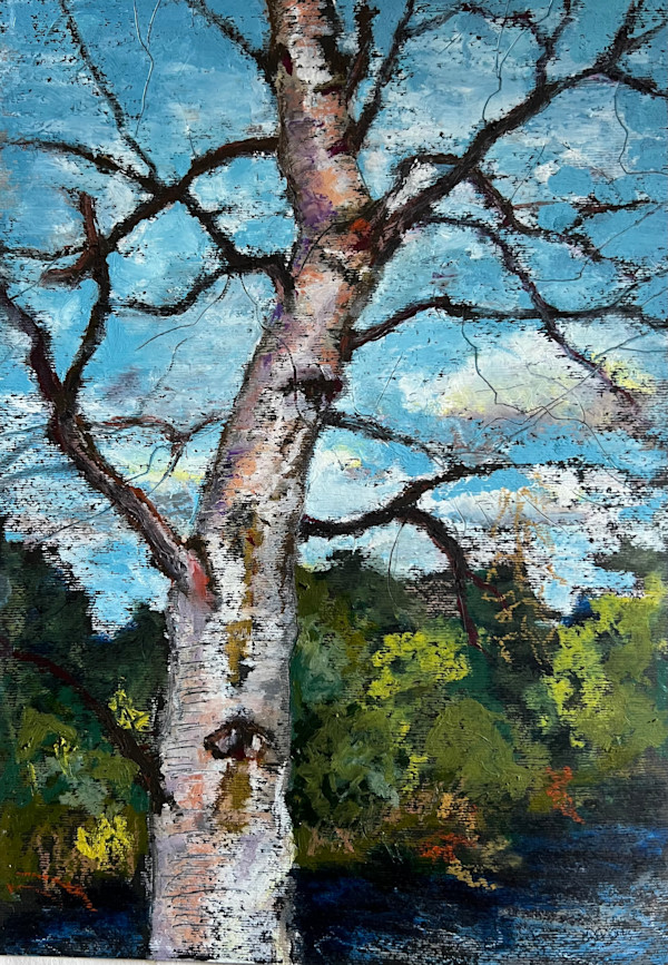 Birch by Julie Galante, Image 1.