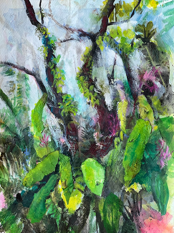 In the misty canopy (Costa Rica) by Julie Galante, Image 1.