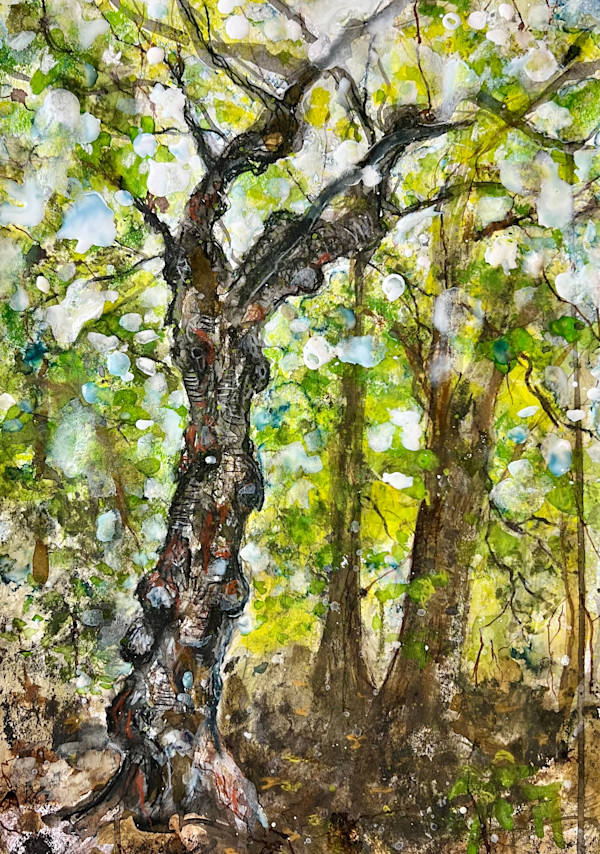 Favourite tree study by Julie Galante, Image 1.