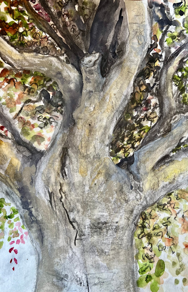Copperhead by Julie Galante, Image 1.