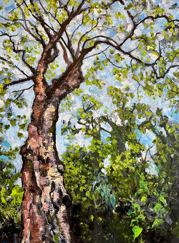 Among friends (favourite tree) by Julie Galante, Image 1.