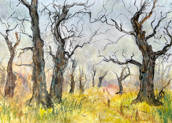 Ancient Oaks study by Julie Galante, Image 1.