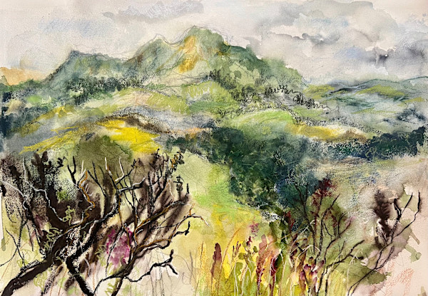 Scott's View by Julie Galante, Image 1.